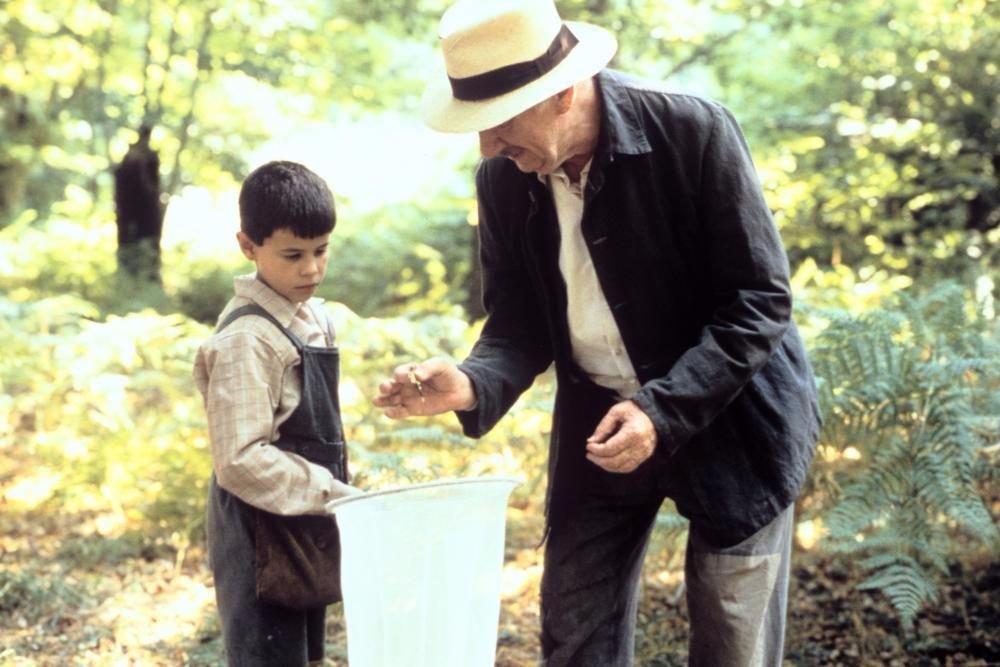 বাটারফ্লাইস টাং 